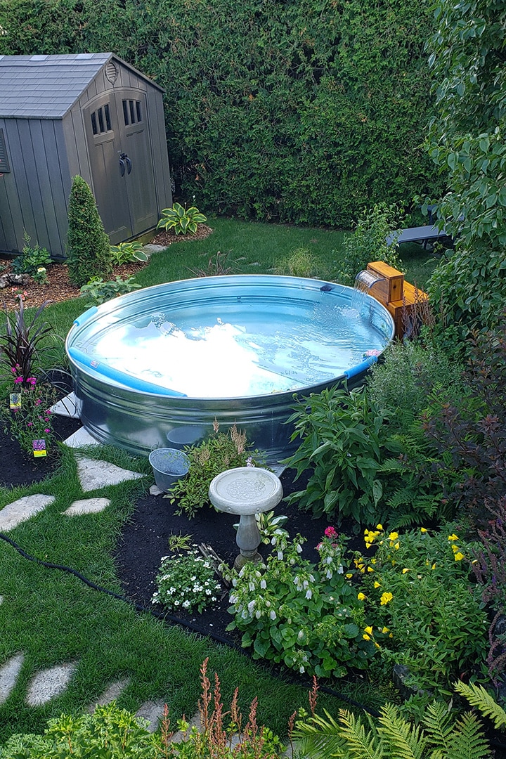 Stock Tank Pool parfait pour votre cour arrière